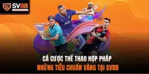 Cá cược thể thao hợp pháp