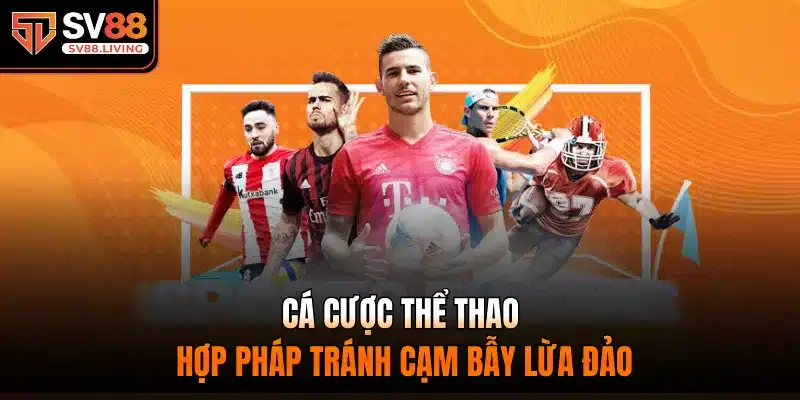 Cá cược thể thao hợp pháp tránh cạm bẫy lừa đảo