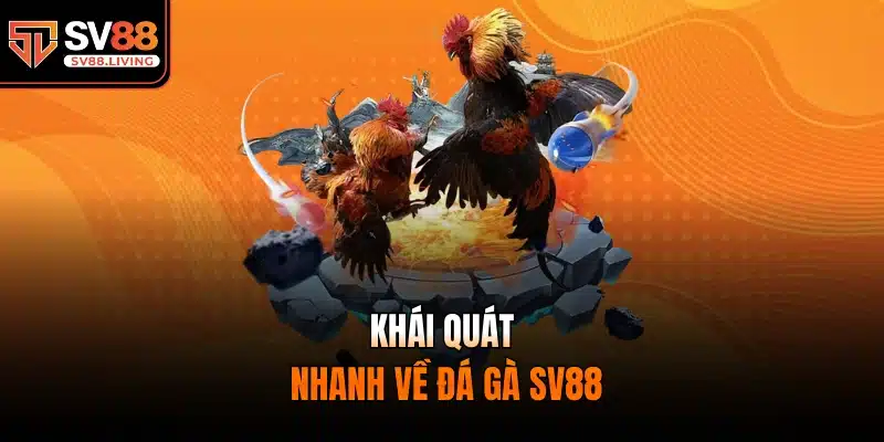 Khái quát nhanh về đá gà SV88