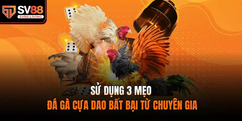 Sử dụng 3 mẹo đá gà cựa dao bất bại từ chuyên gia