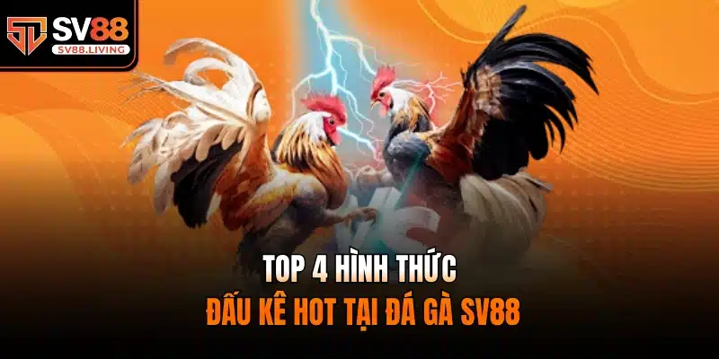 Top 4 hình thức đấu kê hot tại đá gà SV88